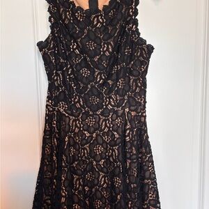 City Studio Black Lace Strapless Fit & Flare Dress with Nude Lining